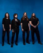 POLYPHIA